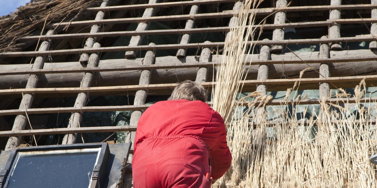 toiture chaume ouverte